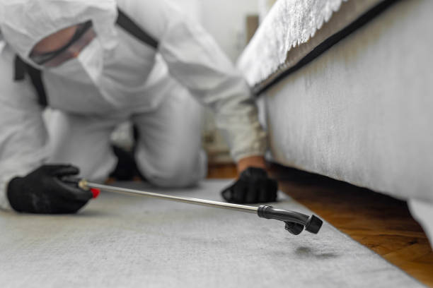 Professional Bed Bug Control technician working in Miami Heights, OH